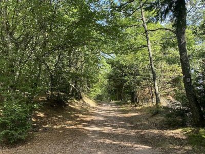 Circuit VTT 10 - Les Trois Epis