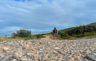 AUREILLE - Un festival d'oiseaux méditerranéens
