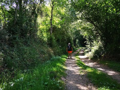 Circuit pédestre n° 111 : l'évasion verte