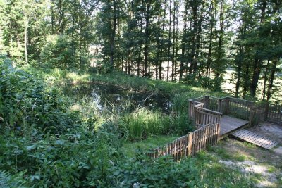 La Naturothèque : une ludothèque nature