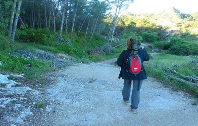 SAINT-RÉMY-DE-PROVENCE - La crête des Alpilles