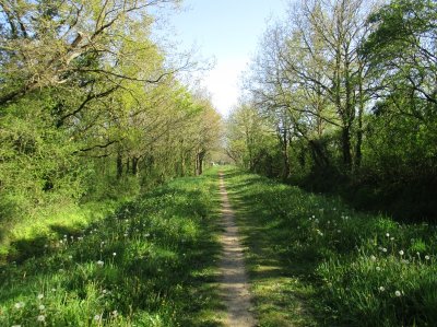 Promenons-nous à Maulévrier : Balade sur la voie ferrée