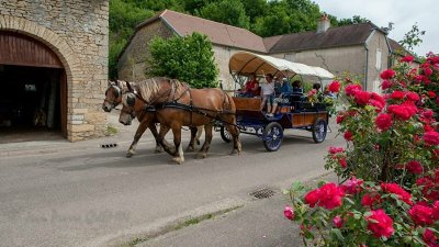 Balades en calèche EARL du PRALEY