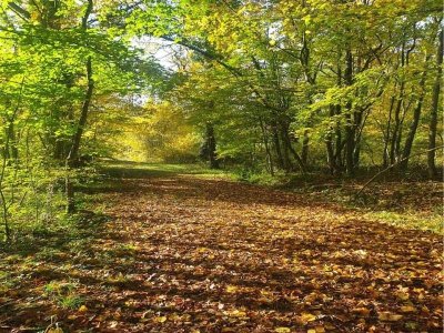 Espace naturel sensible Domaine de Flotin