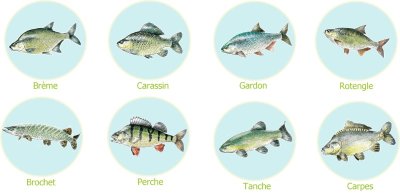 Gravière du Paquier de la Rivière