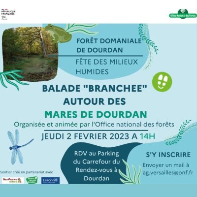 Balade branchée des mares