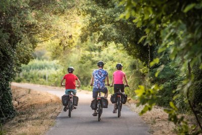 SAINT-RÉMY-DE-PROVENCE - Les jardins de Mistral à vélo