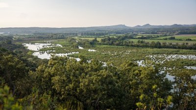 FONTVIELLE - Des Alpilles à la Camargue à vélo