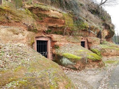 Circuit de la grande Saule