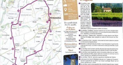 R11 Entre Vignes Lavandes et Truffières