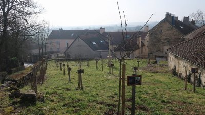 Verger conservatoire de Gemeaux