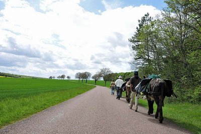 Randonnée avec un âne - Les Chemins de Traverse