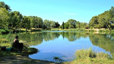 Le Lac de Vallabrègues