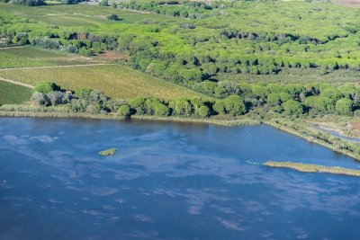 Réserve Naturelle Régionale du Mahistre et Musette