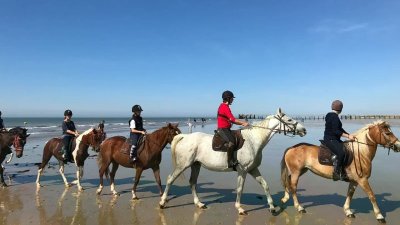 BALADE À CHEVAL NOTRE DAME DE MONTS