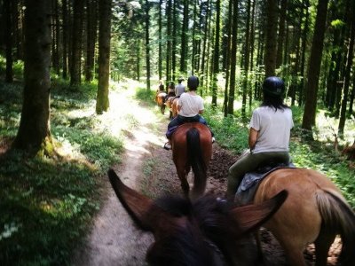 Loue Caval - Éthologie Équitation d'extérieur
