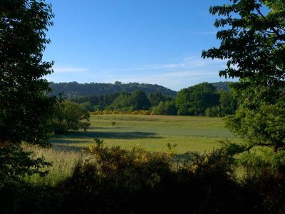 La boutonnière du Warndt