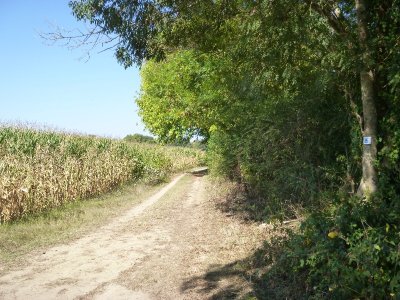 Sentier de l'Adour, de Dax à Saint-Vincent-de-Paul