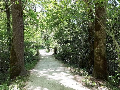 Balades et Randonnées : Le chemin des fontaines à Brassac