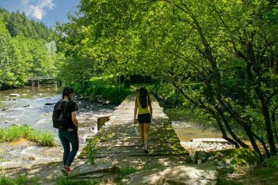 Randonnée "Vallée de la Nauze - Site de Versailles"
