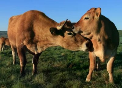 La Ferme des Clauzels