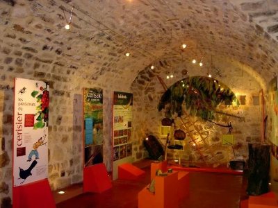 La Maison de la Cerise (groupes)