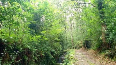 N°18 VTT - Se mettre au vert