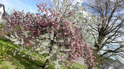 Balade - Autour de Tayrac