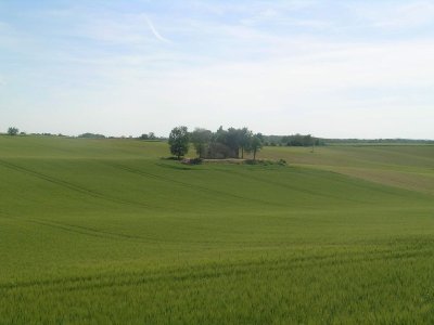 Forêt Domaniale et Campagne