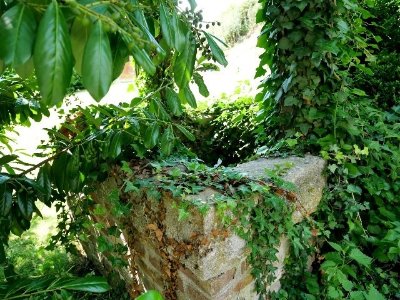 Ancien puits seigneurial