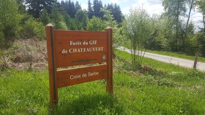 Forêt de Châteauvert