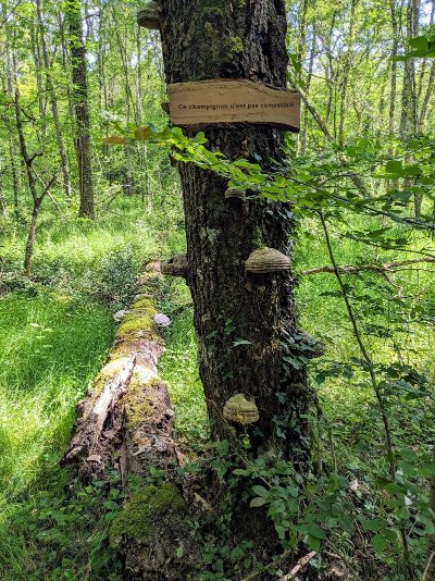 Sentier artistique et pédagogique demain la Double