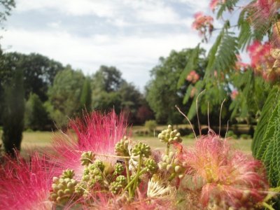 PARC DU MANOIR DE LA GRUAIS