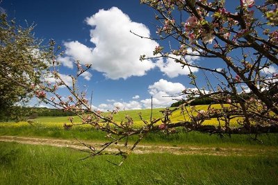 Eglise Evangélique - Eglise le Rocher de Troyes