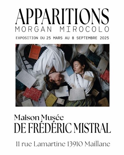 Maison  - Musée Frédéric Mistral