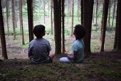 LA CLAIRIERE AUX INSECTES