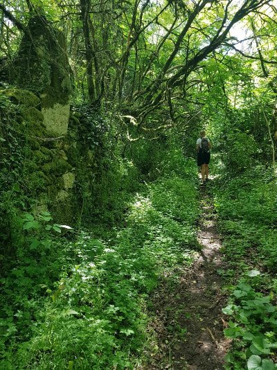 Balades et randonnées : le chemin des pastourels à Montagudet