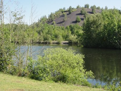 Terril Ledoux (n°196)