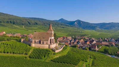 Sentier Géovino - la biodiversité - Hunawihr