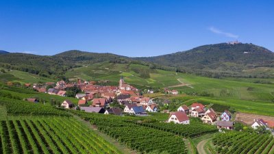 Sentier Géovino - les vigneron.nes - Rodern