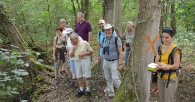 Sentier des mémoires de la seconde guerre mondiale