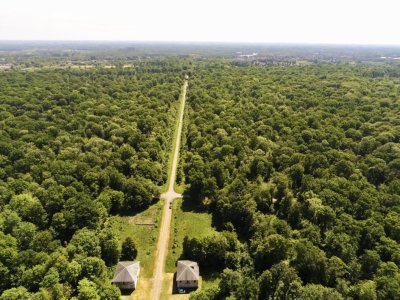 Forêt de Condé-Bonsecours