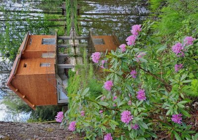 Les sabots dans l'eau