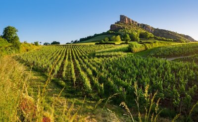 Escapade Nature - De la Grange du Bois à Mâcon Loché