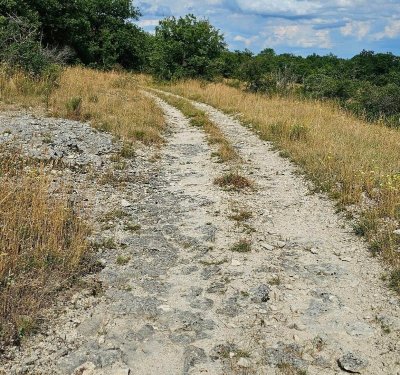 Balades et randonnées : Pervillac à Montaigu de Quercy