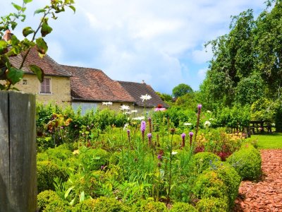 Balade découverte du Jardin de l'An Mil à nos jours