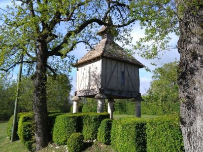 Balades et randonnées : le Compostelle à Sainte Juliette