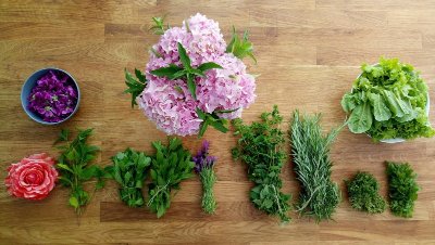 La Reine des Prés - Balade & Ateliers