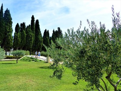 MAUSSANE-LES-ALPILLES - Au fil de l'eau