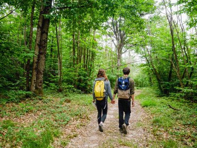 La Gâtine Tourangelle
